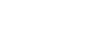 logo_pavoni_w