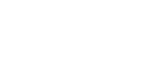 salchi_metalcoat_logo_W